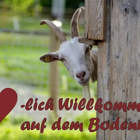 شقة Bodenhof *