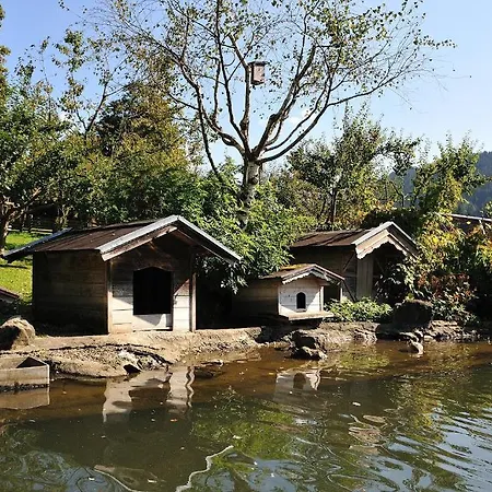 Bodenhof Haselsberger Apartment
