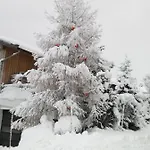 Bodenhof * Fieberbrunn