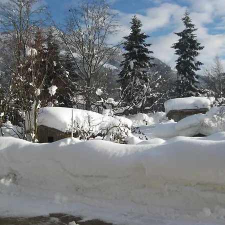 Bodenhof Lejlighed Fieberbrunn