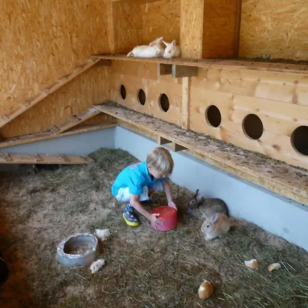 Lejlighed Bodenhof Fieberbrunn