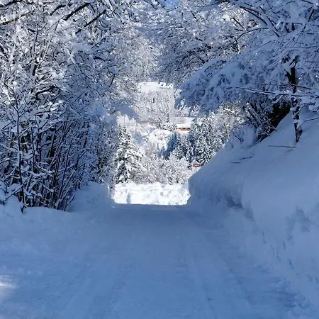Lejlighed Bodenhof Fieberbrunn