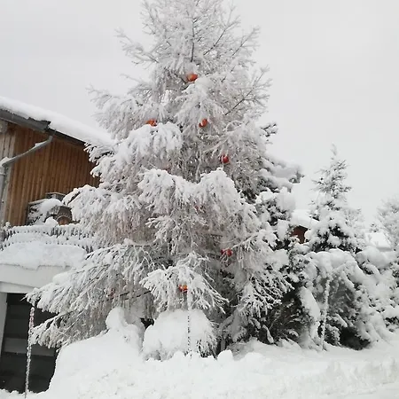 Bodenhof * Fieberbrunn