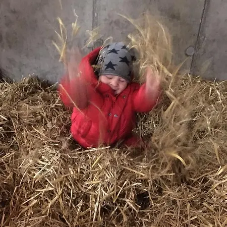 Lejlighed Bodenhof Fieberbrunn